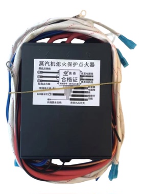 商用蒸汽发生器蒸汽机脉冲点火器