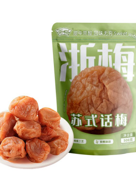 浙梅苏式话梅508g酸梅吃不厌老式青梅凉果蜜饯解馋零食酸甜袋装