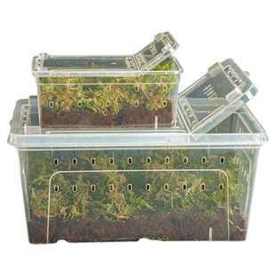 乌龟冬眠箱专用椰土爬宠饲养盒寄居蟹守宫过冬神器苔藓乌龟缸用品