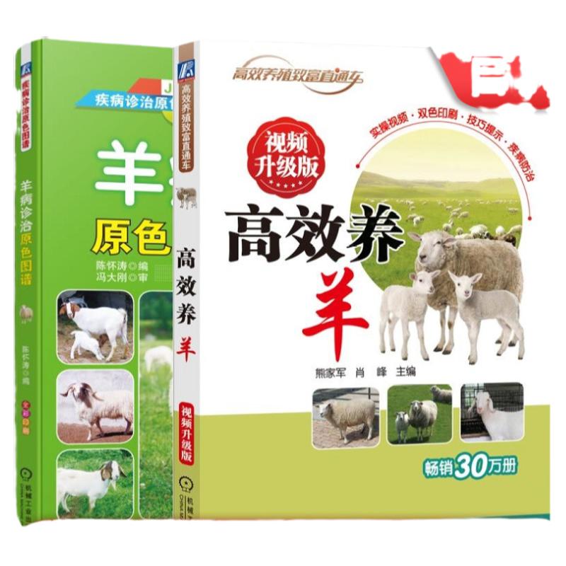 官网正版套装  高效养羊 视频升级版+羊病诊治原色图谱   熊家军 肖峰 陈怀涛  饲养 管理 羊病 诊治 疾病防治