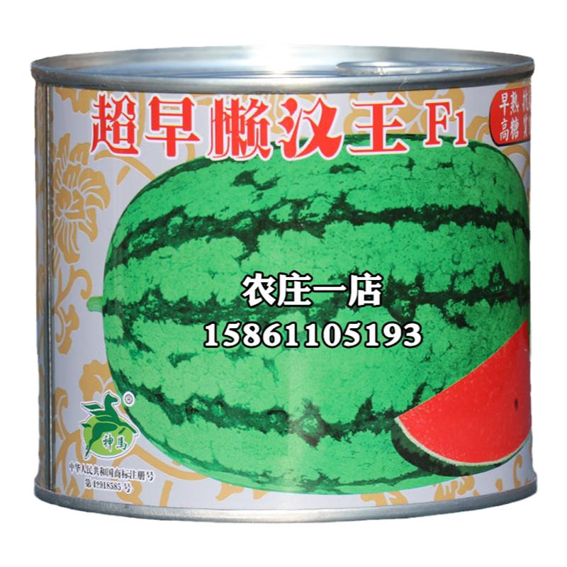 耐重茬超早懒汉西瓜种籽种子巨型