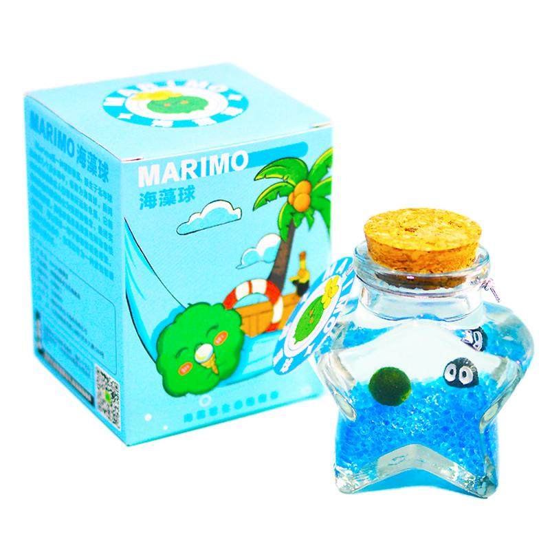 marimo海藻球生态瓶水培植情绪植物
