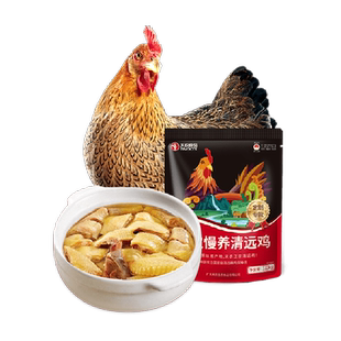 天农清远鸡168天散养走地鸡谷饲土鸡供港整鸡山林走地鸡母鸡新鲜