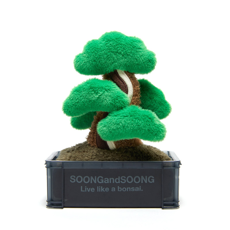 松与松植物摆件工位稳定情绪神器
