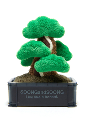 松与松植物摆件工位稳定情绪神器