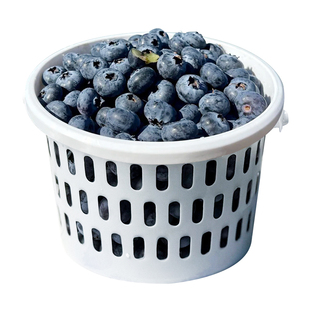 【整桶发】桶装花香蓝莓一斤装云南亮眼莓L25当季新鲜绿叶水果