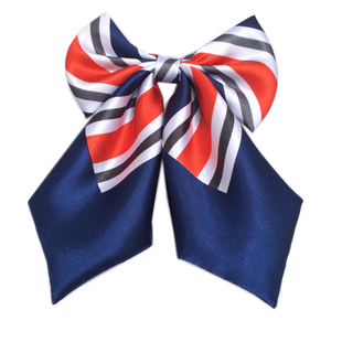 可定制条纹韩版新款女士职业领花中国邮政储蓄银行制服蝴蝶结领结