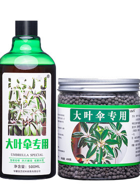 大叶伞绿叶壮杆专用肥料营养液