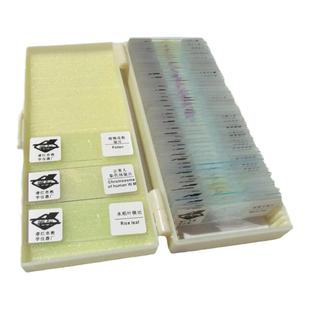 精选25种/50种/35种礼盒装生物切片标本/教学显微镜用/搭配促销