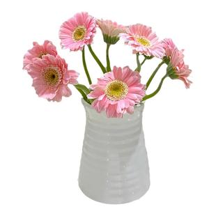 弗朗花鲜花云南基地直发扶郎花花束水培插花非洲菊鲜切花花期长