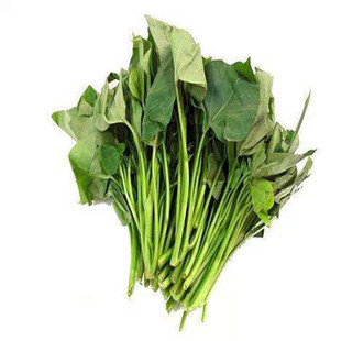 广西专吃叶子梗红薯叶苗蔬菜4个品种食用番薯五叉叶尖地瓜叶滕种