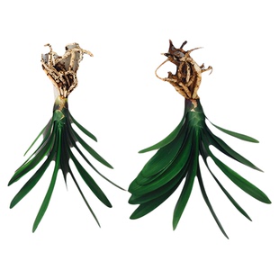 包邮长春立板技师油匠大桥君子兰室内净化空气绿植吸甲醛盆栽花卉