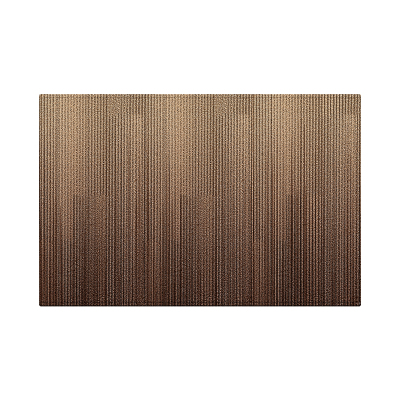 入户门地垫轻奢高级感地毯防滑