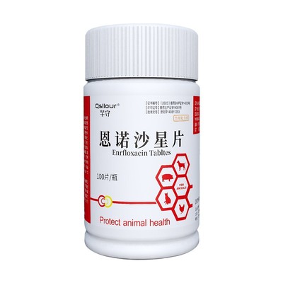 芊守恩诺沙星宠物尿路感染消炎药