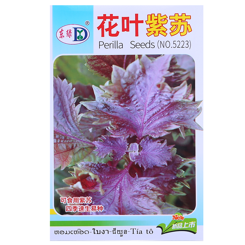 大叶花叶紫苏种籽子单双面可食用紫苏籽种盆栽种植四季籽种蔬菜孑
