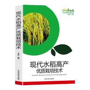 现代水稻高产优质栽培技术/水稻种植基础知识育秧田间管理生产选育病虫害杂草防治现代农业种植优质栽培大全 杂交水稻制种技术书籍