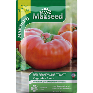 【官网高分】农家老品种粉红白兰地大彩虹洋西红柿番茄种子孑籽苗