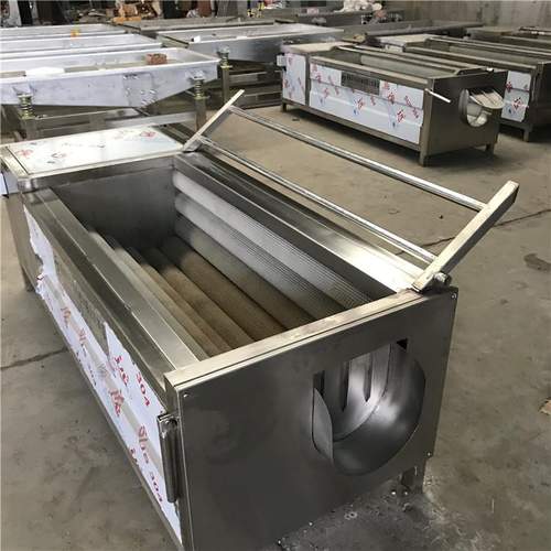 大姜清洗机毛辊毛刷根茎去皮机 果蔬去皮清洗机 全自动毛辊清洗机