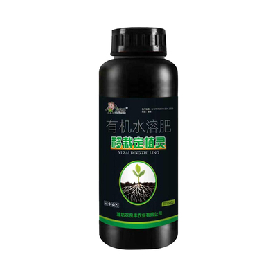 移栽定植灵果树蔬菜花卉移栽定苗