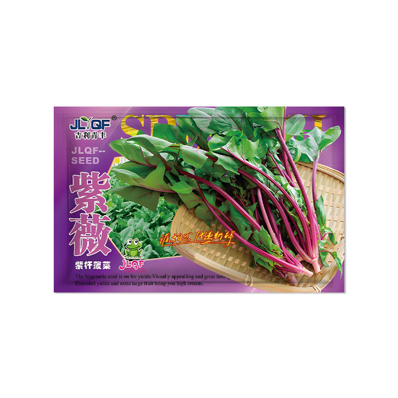 吉利青丰紫薇紫杆菠菜种子