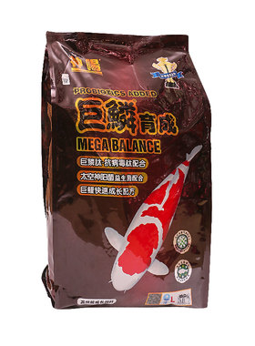神阳巨鳞赛级锦鲤专用鱼饲料