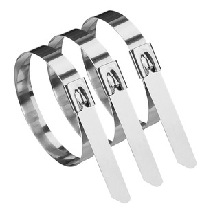 【免费开票 免费寄样】不锈钢扎带304金属捆绑扎带自锁式钢丝扎带