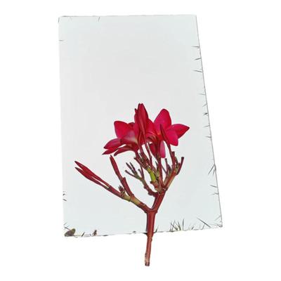 佳圣喜方形玻璃简约高清玻璃厂家