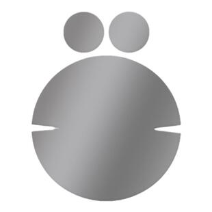 适用春风450CLC仪表屏幕膜大灯尾灯膜隐形车衣版画摩托车配件改装