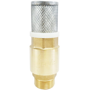 外丝铜底阀带滤网井底水管过滤单向止回阀自吸泵弹簧螺纹铜芯4分6