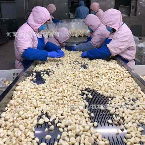 无损伤全自动大蒜去皮机 大蒜加工脱皮机 气脱皮大蒜剥皮机