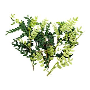 新鲜清香木胡椒木西餐酒店饮品装饰叶子烘焙蛋糕点缀摆盘花草包邮