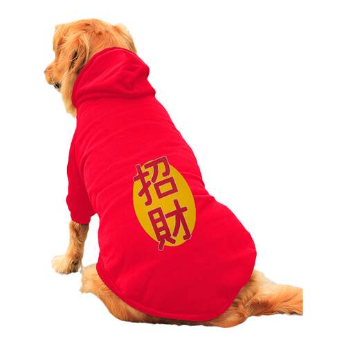 狗狗新年衣服秋冬装过年喜庆金毛拉布拉多边牧中型大型犬冬季卫衣
