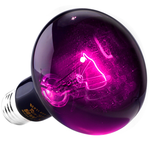 RS升级款爬虫UVA夜灯陆龟蜥蜴变色龙夜间加温爬宠饲养箱保温月光