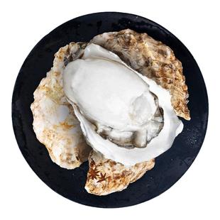 特大号乳山生蚝鲜活新鲜牡蛎带壳特级海鲜水产单只6-8两10斤8XL