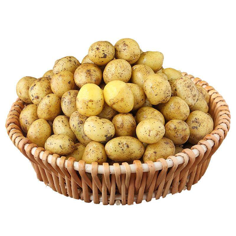 顺丰次日达！正宗恩施小土豆！