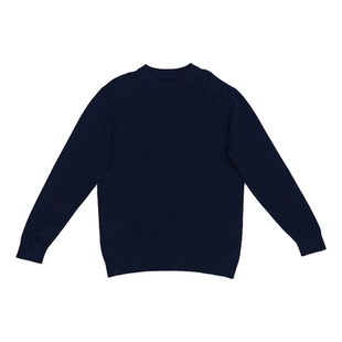 无色无味毛衣男款冬季2025新款简约风纯山羊绒针织衫加厚内搭上衣