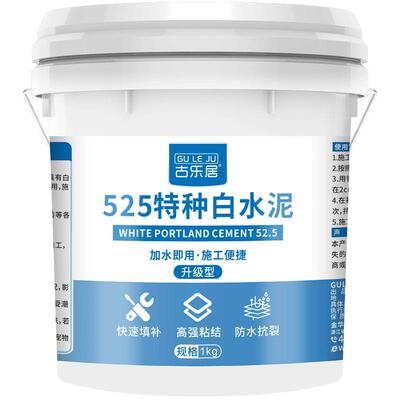 卫生间瓷砖填缝防水速干白水泥