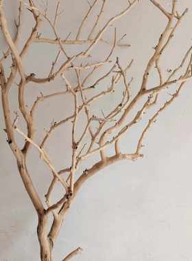 吊灯干枝分枝干树枝装饰树干枯枝室内天花板挂灯插花挂件舞台摆件