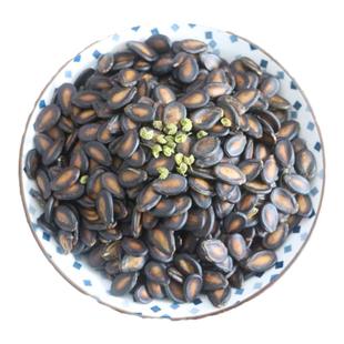 咸香花椒味中大粒西瓜子 青藤椒小吃零食 休闲食品 粒大饱满500G