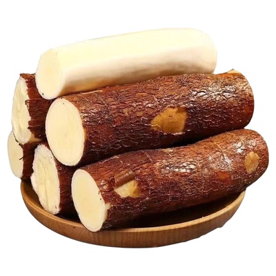 广东黄心木薯粉糯香甜新鲜现挖