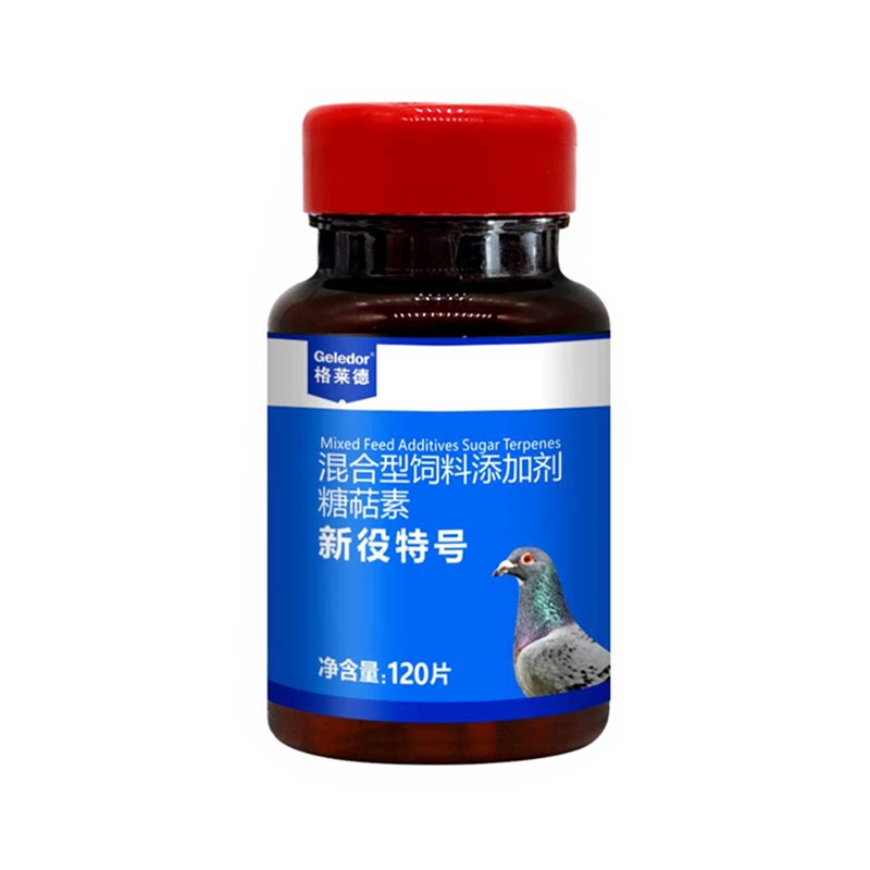 格莱德新役特号片赛鸽子肠道