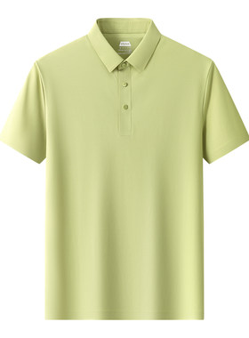 夏季冰丝薄款短袖t恤男中年polo