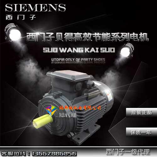 议价1TL0001-3AC6-132千瓦 西门子贝得高扭矩电机380/400V 卧变频