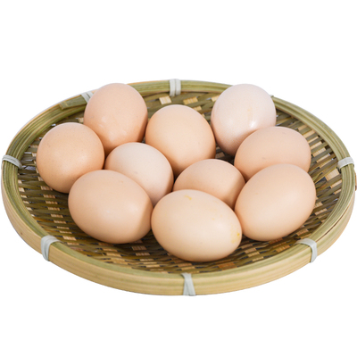 栖凤山灵芝土鸡蛋五谷物喂养