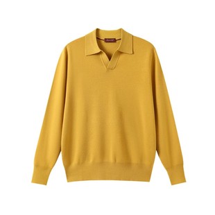 优雅与痞帅融合!轻奢高级氛围!秋冬羊毛针织衫马球领Polo毛衣男