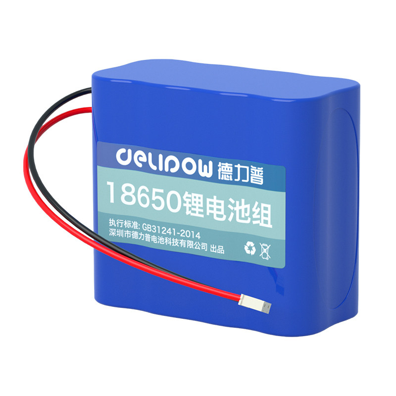 3C认证】德力普12v24伏锂电池组