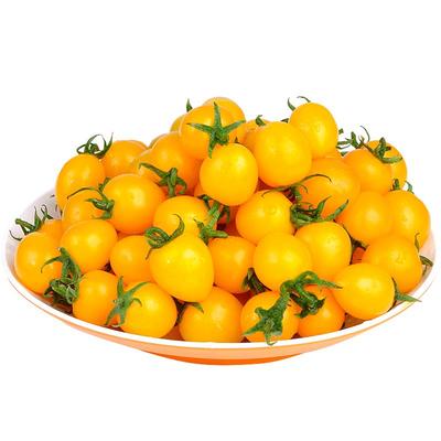 美邻惠享家黄色小番茄圣女果