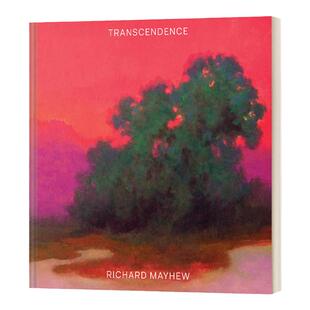 超然存在 Transcendence 风景画画家理查德梅休 Richard Mayhew 艺术画册