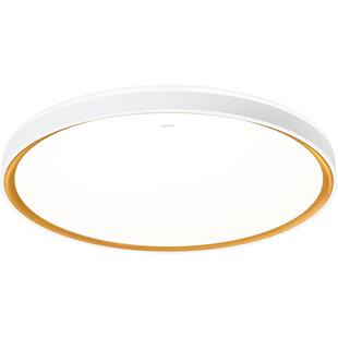 26新欧普LED吸顶灯具饰超大卧室餐厅书房小客厅智能语音合集WS