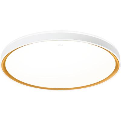 26新欧普LED吸顶灯具饰超大卧室餐厅书房小客厅智能语音合集WS